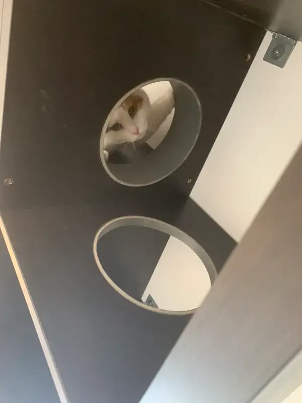 Project van Klusbedrijf Biever: dierenverblijf in Vlaardingen en omgeving