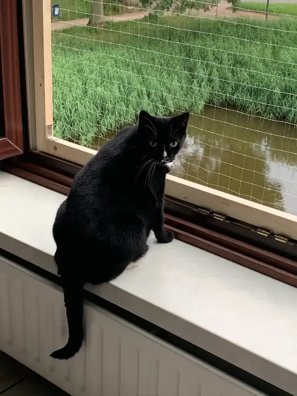 Project van Klusbedrijf Biever: dierenverblijf in Vlaardingen en omgeving