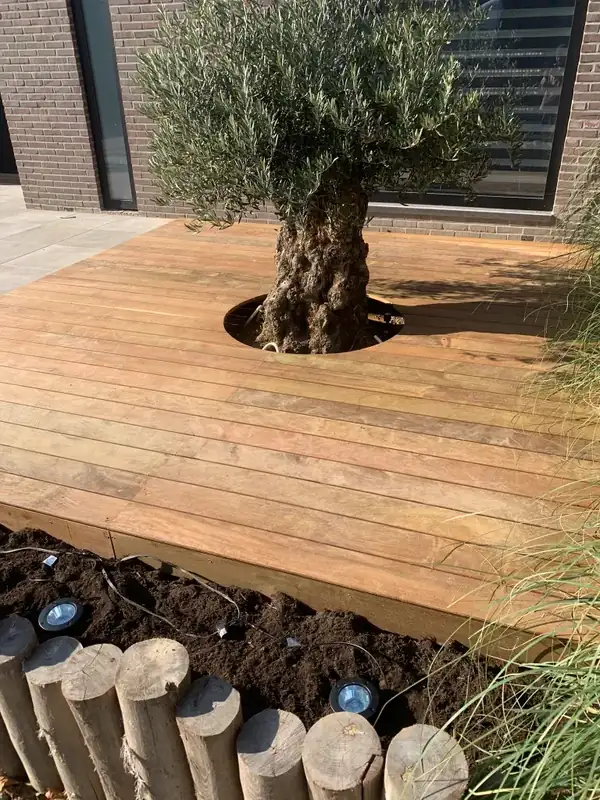 Project van Klusbedrijf Biever: hovenierswerk in Vlaardingen en omgeving